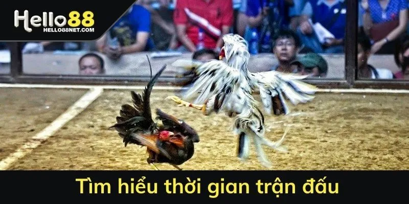 Tìm hiểu thời gian trận đấu